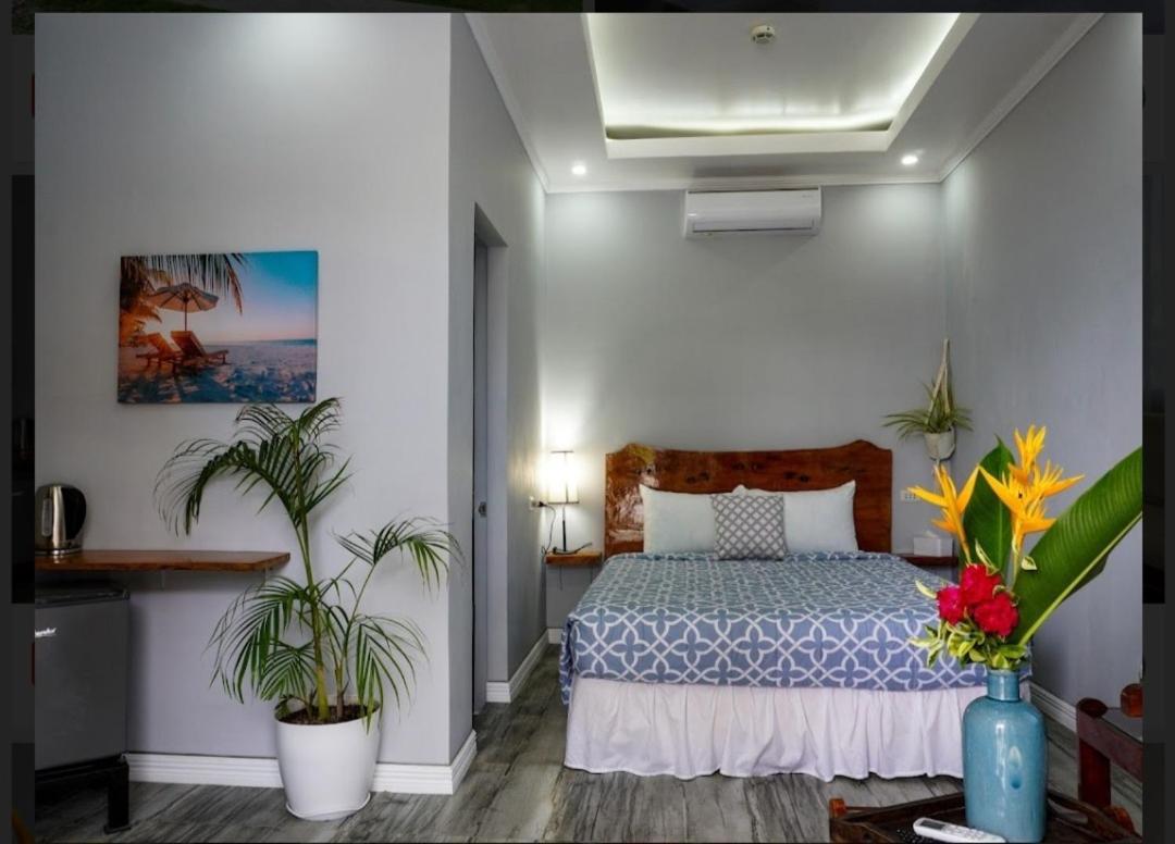 Palm View Moalboal 호텔 외부 사진